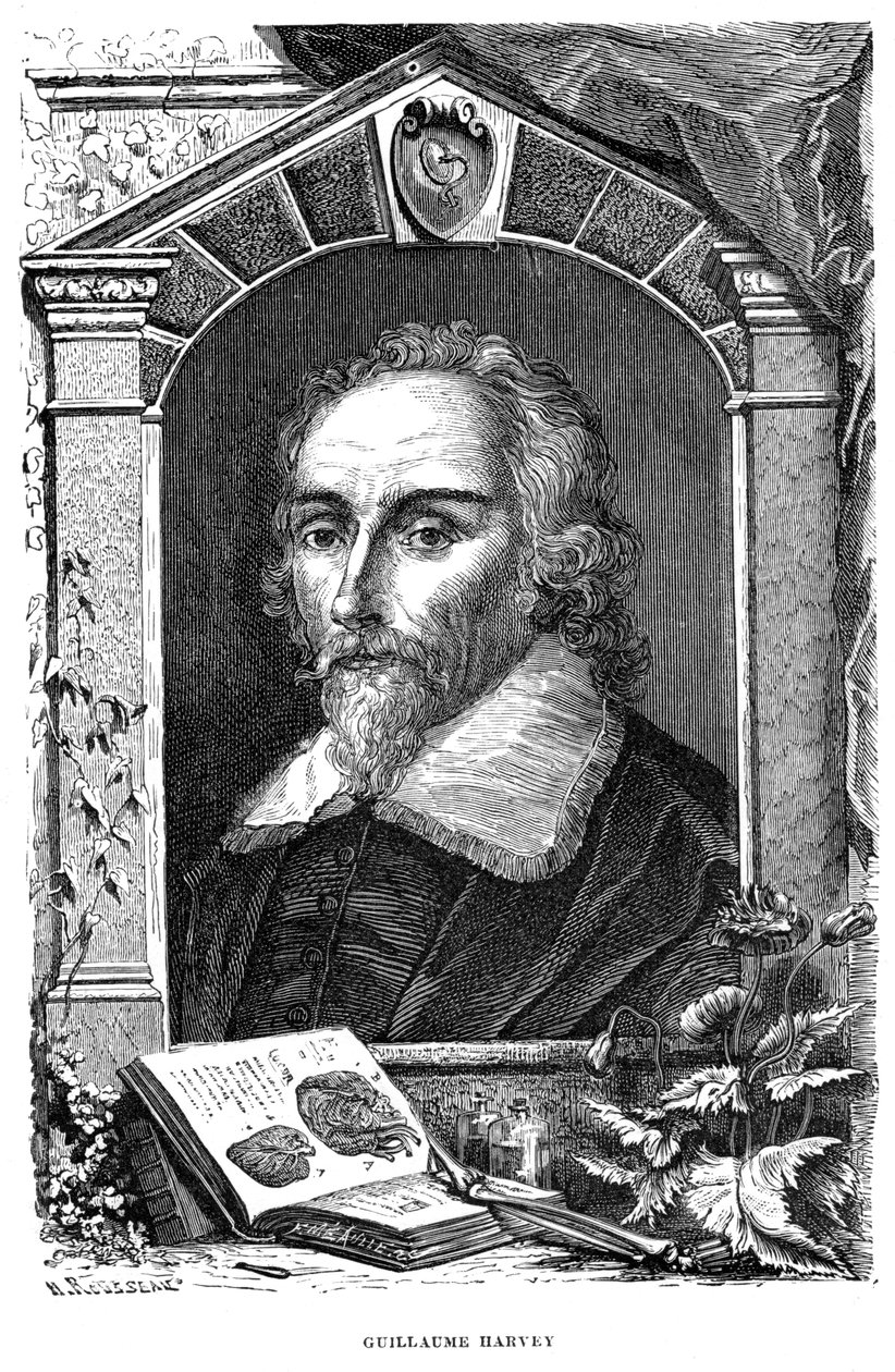 William Harvey 1578-1657 Médico inglês, século c17 de Unbekannt