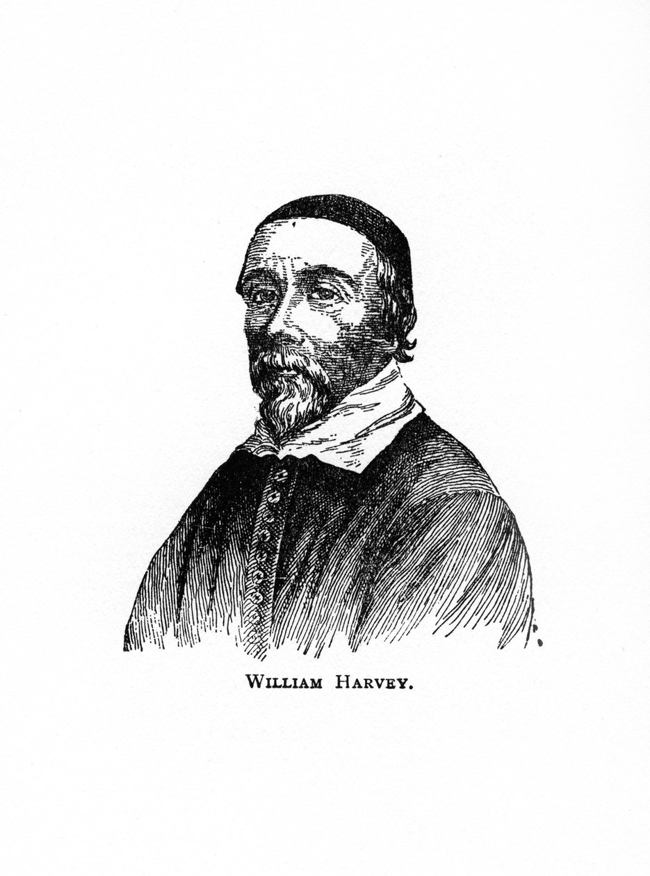 William Harvey, médico inglês do século XVII, século XX de Unbekannt