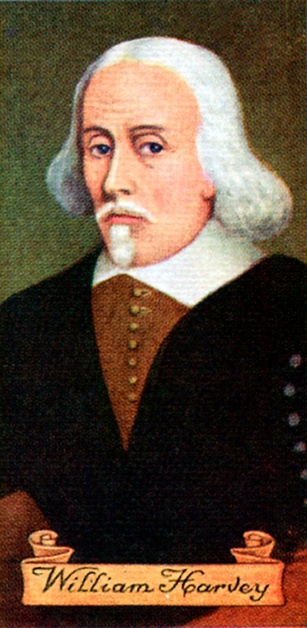 William Harvey, retirado de uma série de cartões de cigarro, 1935 de Unbekannt