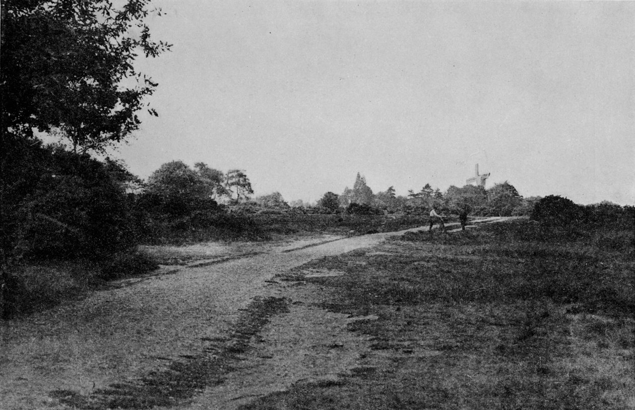 Comum de Wimbledon e o moinho de vento, c1900, 1912 de Unbekannt