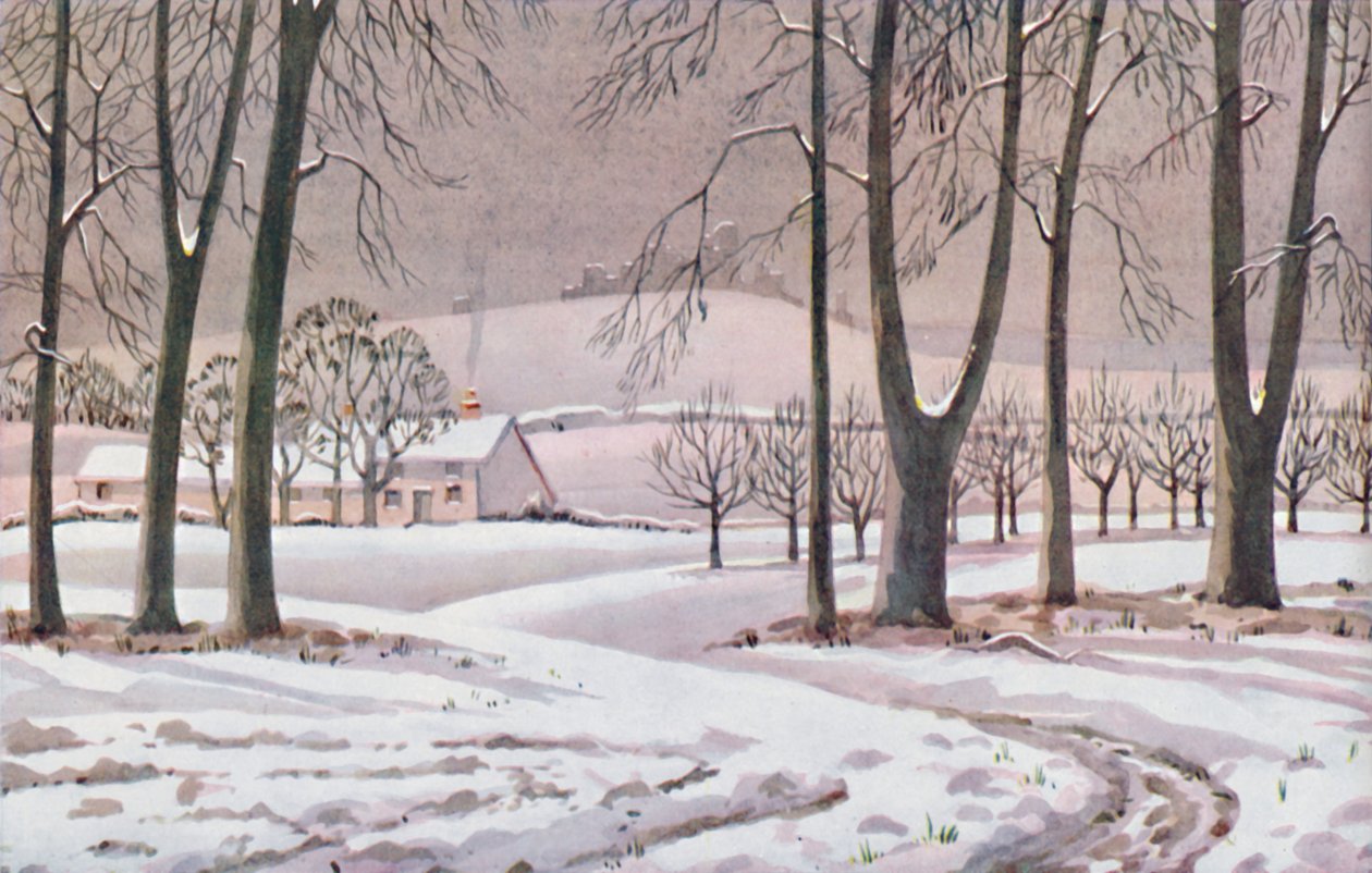 Inverno - As mudanças físicas, químicas e biológicas provocadas pelo sol durante o ano de 1935 de Unbekannt