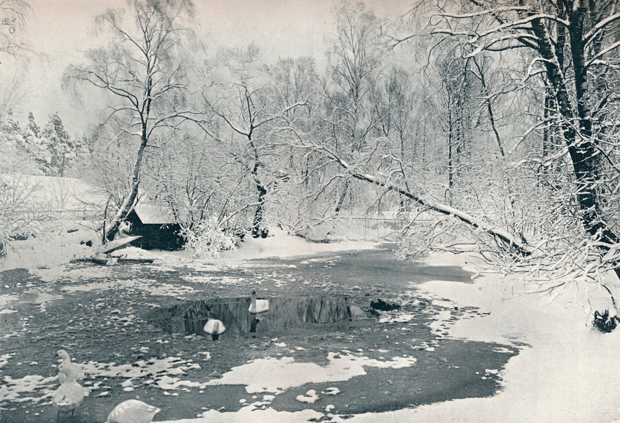 Vista de inverno do museu ao ar livre em Skansen, c1900 de Unbekannt