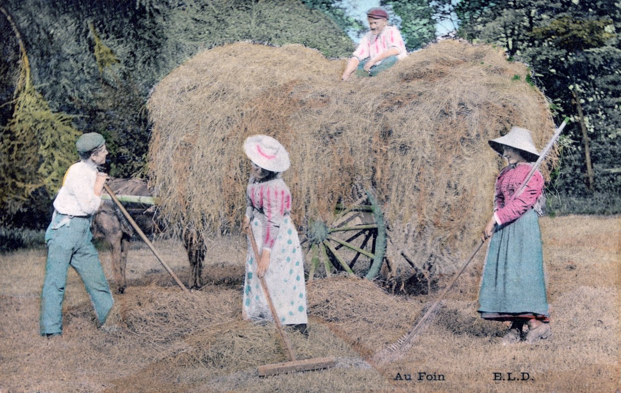 Com o Hay, c1900 de Unbekannt