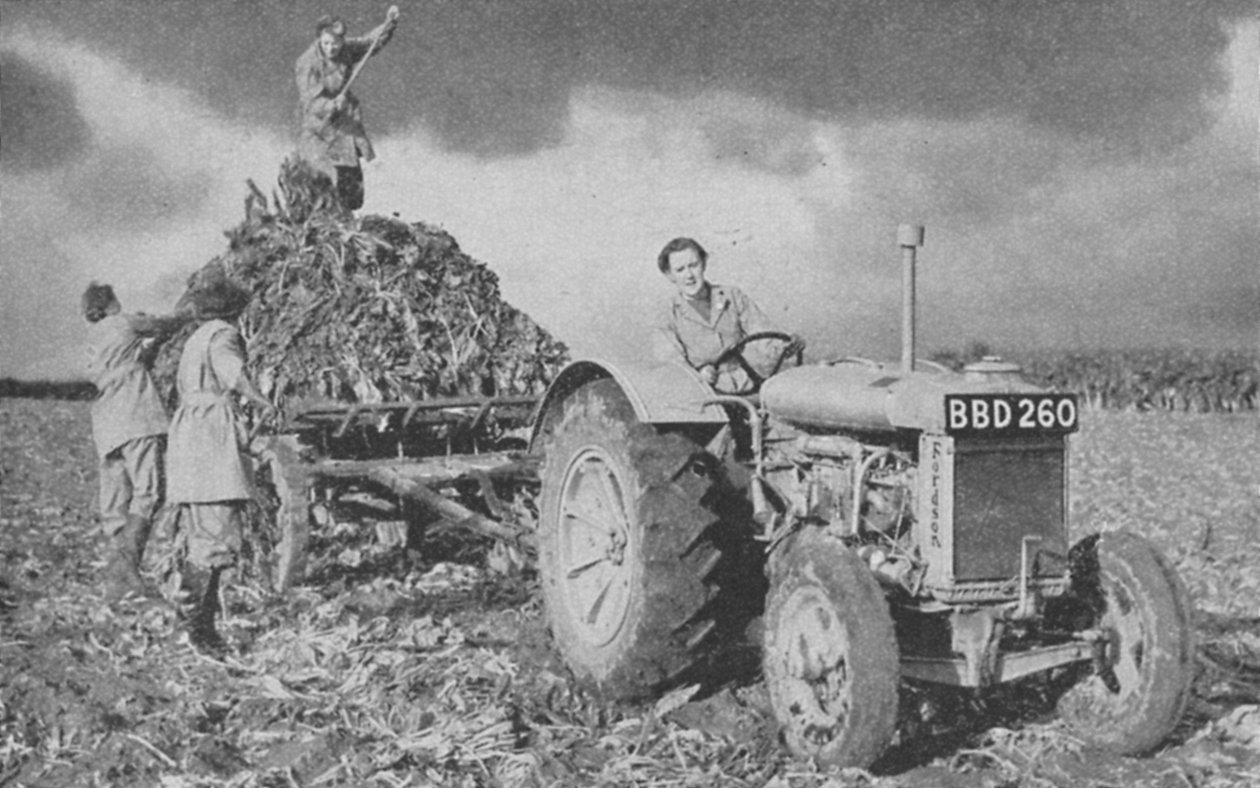 Exército de mulheres terra levantando uma colheita, Segunda Guerra Mundial, 1940 de Unbekannt