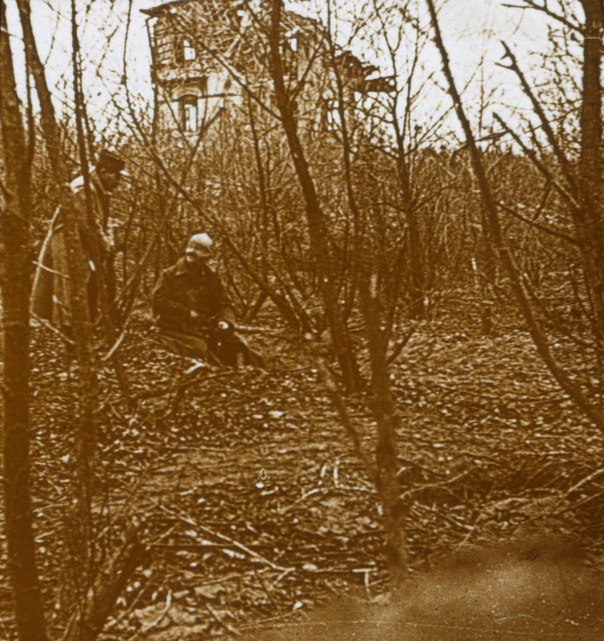 Madeira, c1914-c1918 de Unbekannt