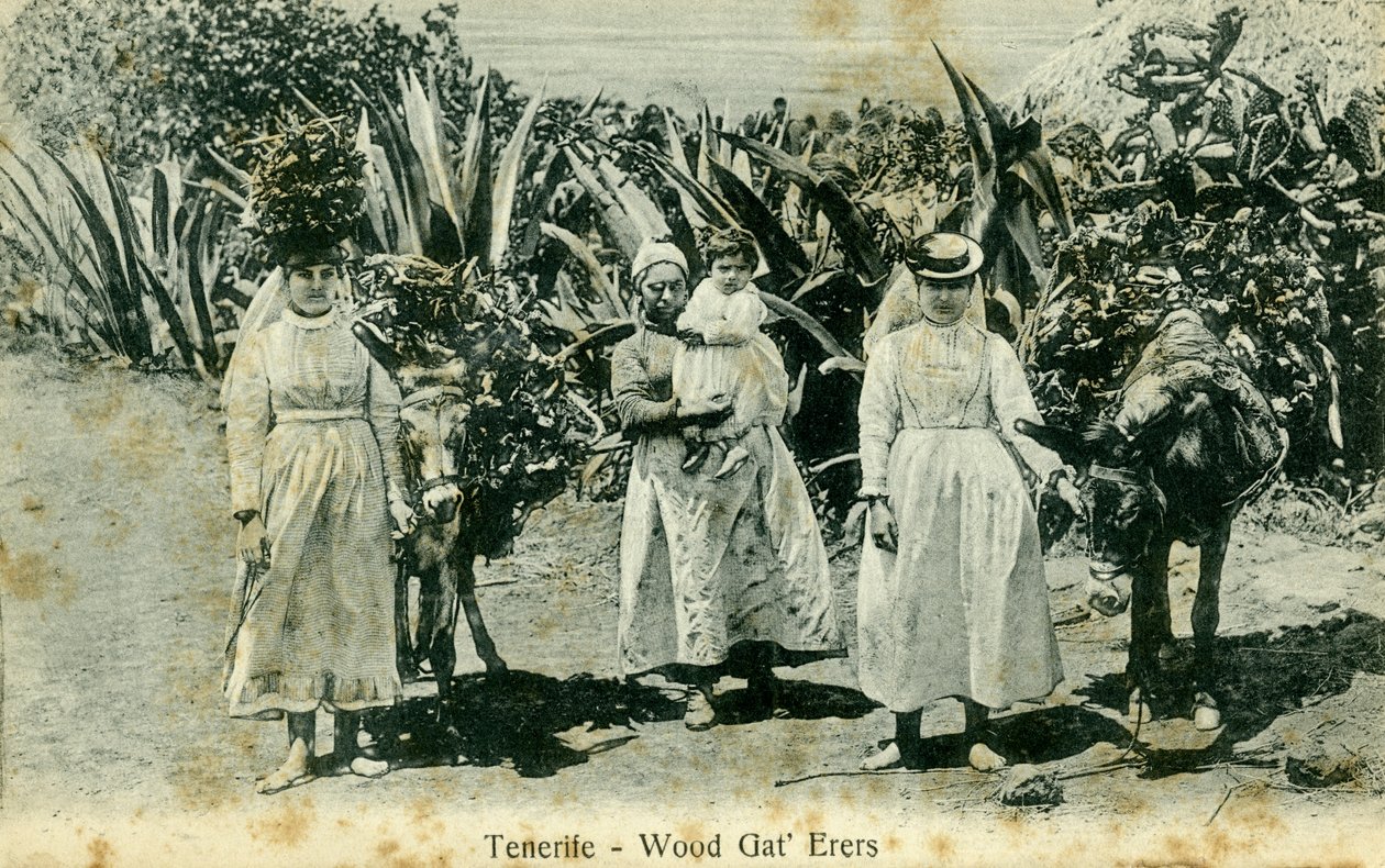 Coletores de madeira, Tenerife, Ilhas Canárias, início do século XX de Unbekannt