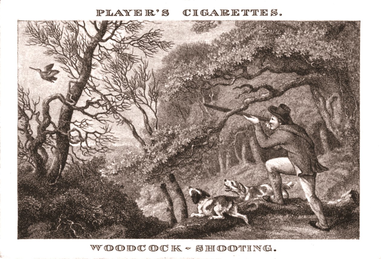 Woodcock-Shooting, 1924. de Unbekannt