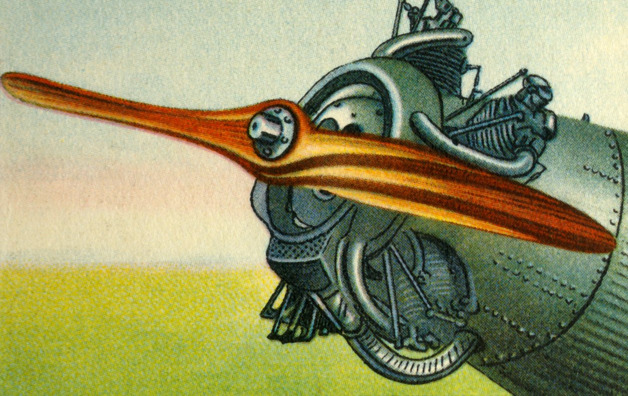 Hélice de avião de madeira fabricada pela empresa Hugo Heine Propeller-Werk, 1932. de Unbekannt
