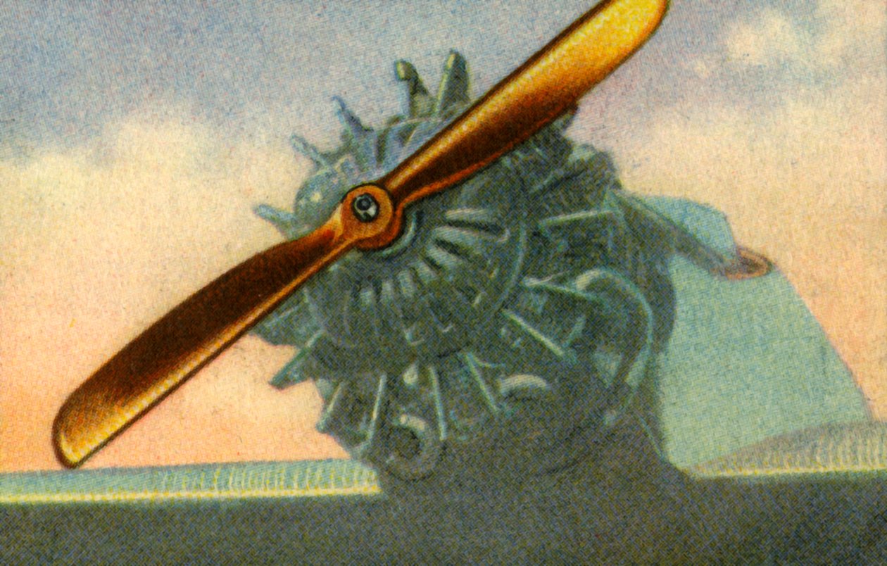 Hélice de avião de madeira fabricada pela empresa Schwarz Propeller-Werk, 1932. de Unbekannt