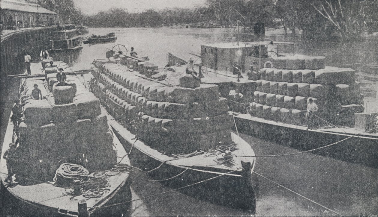 Barcas de lã no rio Murray, 1923. de Unbekannt