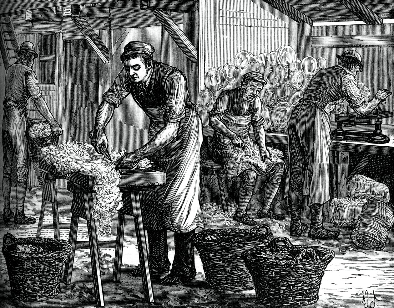 Classificadores de lã, c1880 de Unbekannt