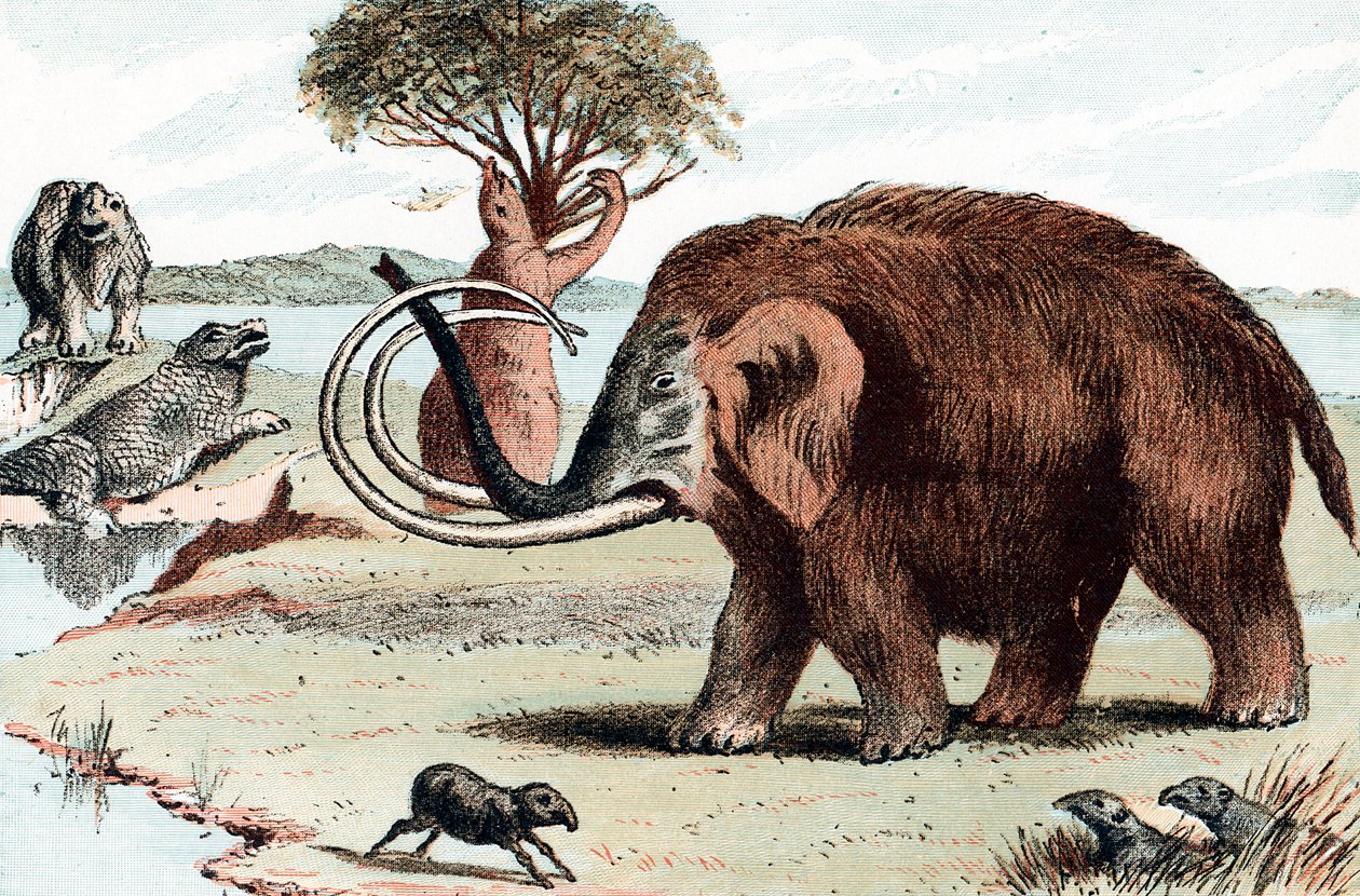 Mamute gigante, 1892 de Unbekannt