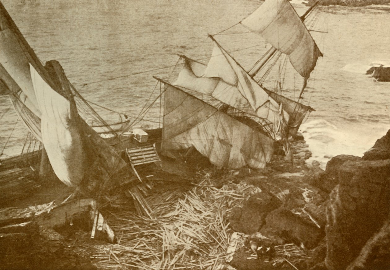 Destruído no lagarto, c1930. de Unbekannt