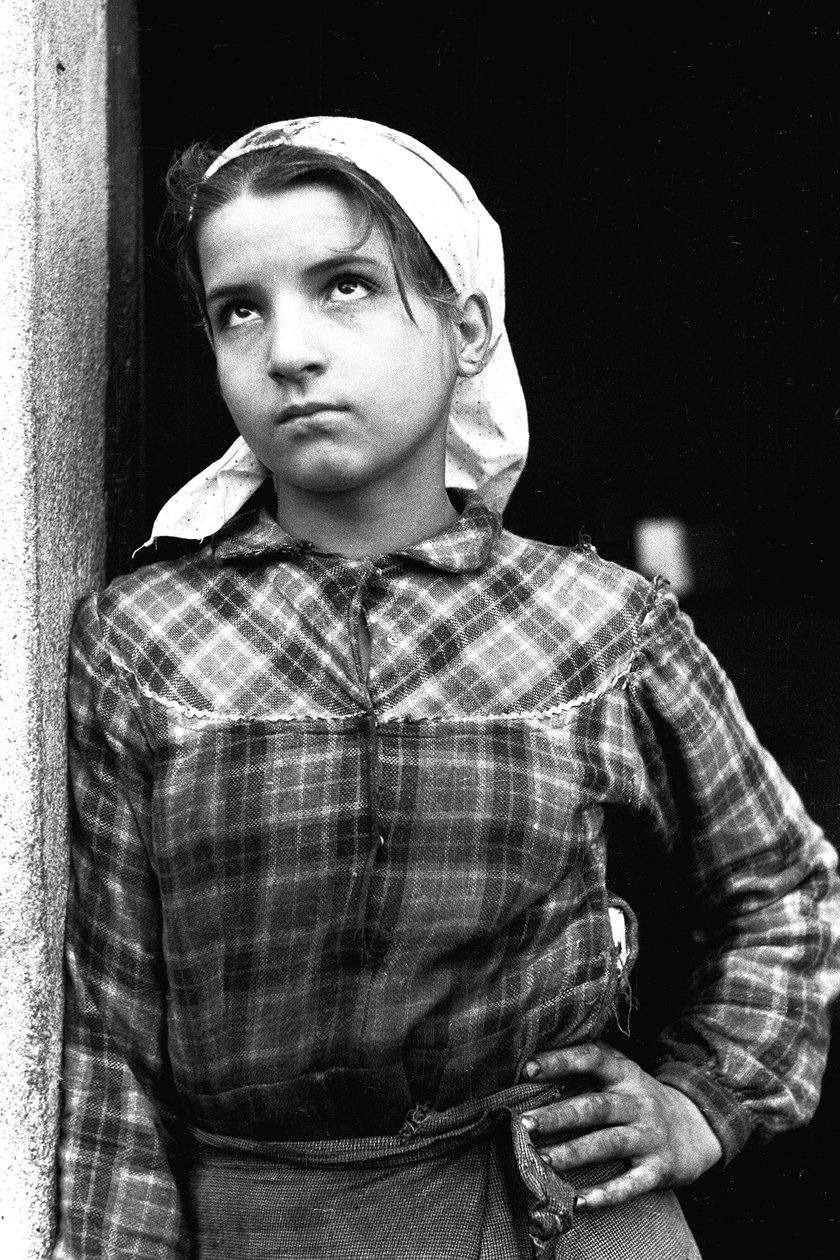 Youg girl trabalhando como colhedora de azeitonas na Calábria, Itália, c.1955 (foto a p/b) de Unbekannt