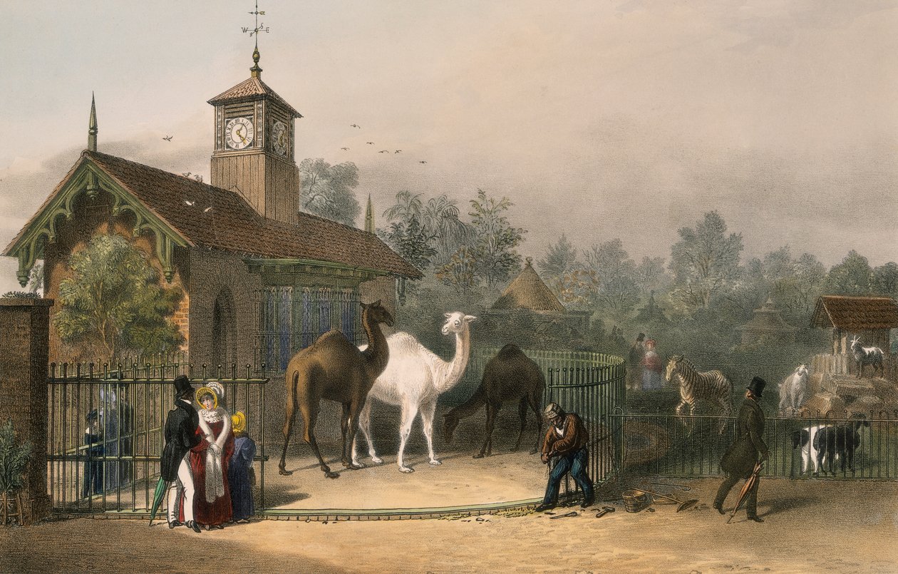 Jardins Zoológicos, Regent