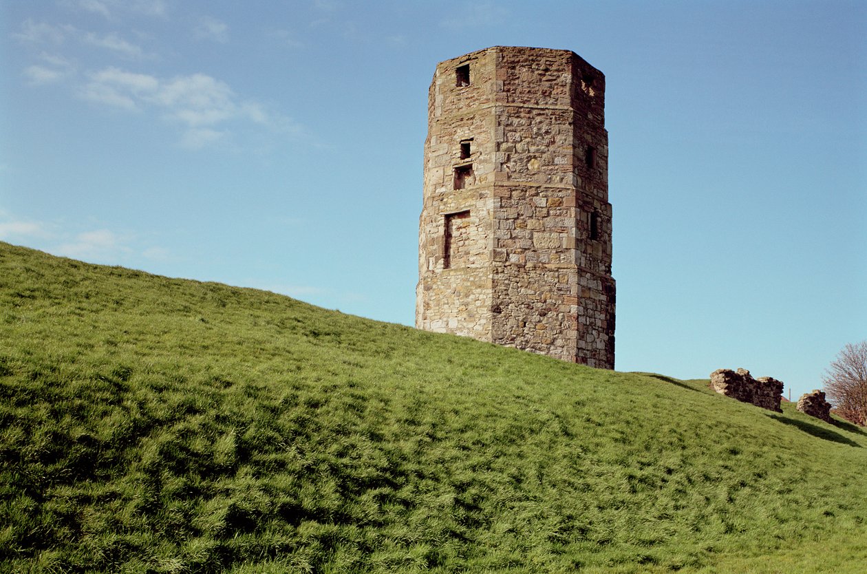 Vaca, torre, berwick, northumberland de Unbekannt Unbekannt