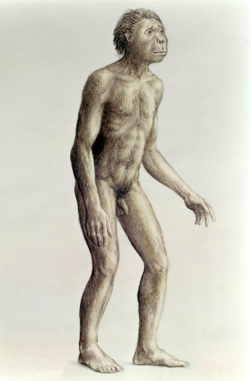homossexual de Unbekannt Unbekannt