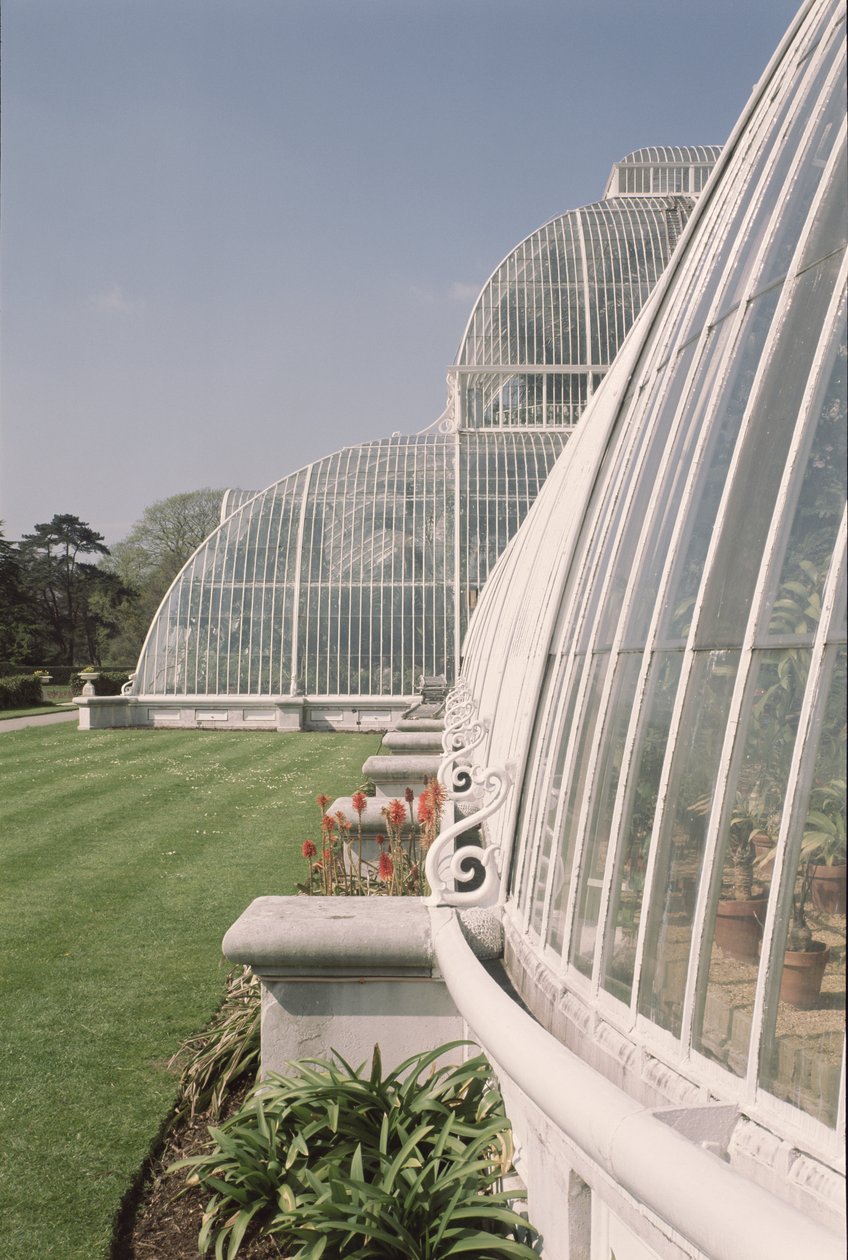 Seção da Casa da Palma, projetada por Decimus Burton, 1800-81 de Unbekannt Unbekannt