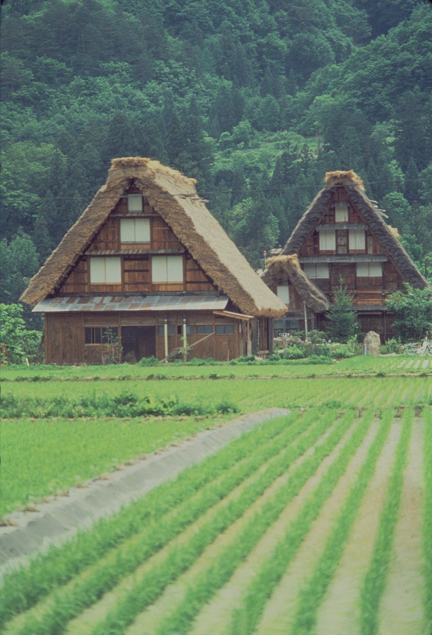 Aldeia de Shirakawa, Giju, Japão de Unbekannt Unbekannt