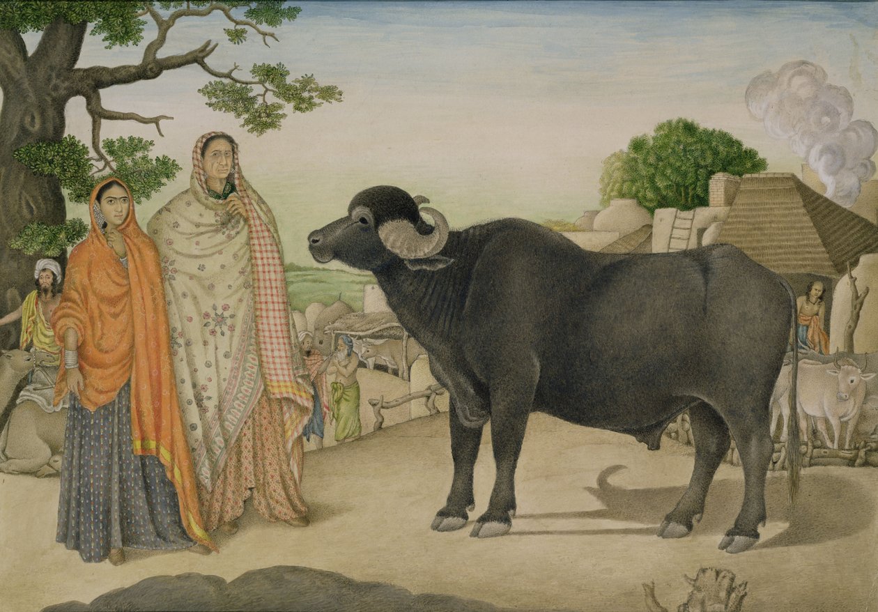 Duas mulheres da aldeia e um búfalo na aldeia de Rania, c.1816, indiano de Unbekannt Unbekannt