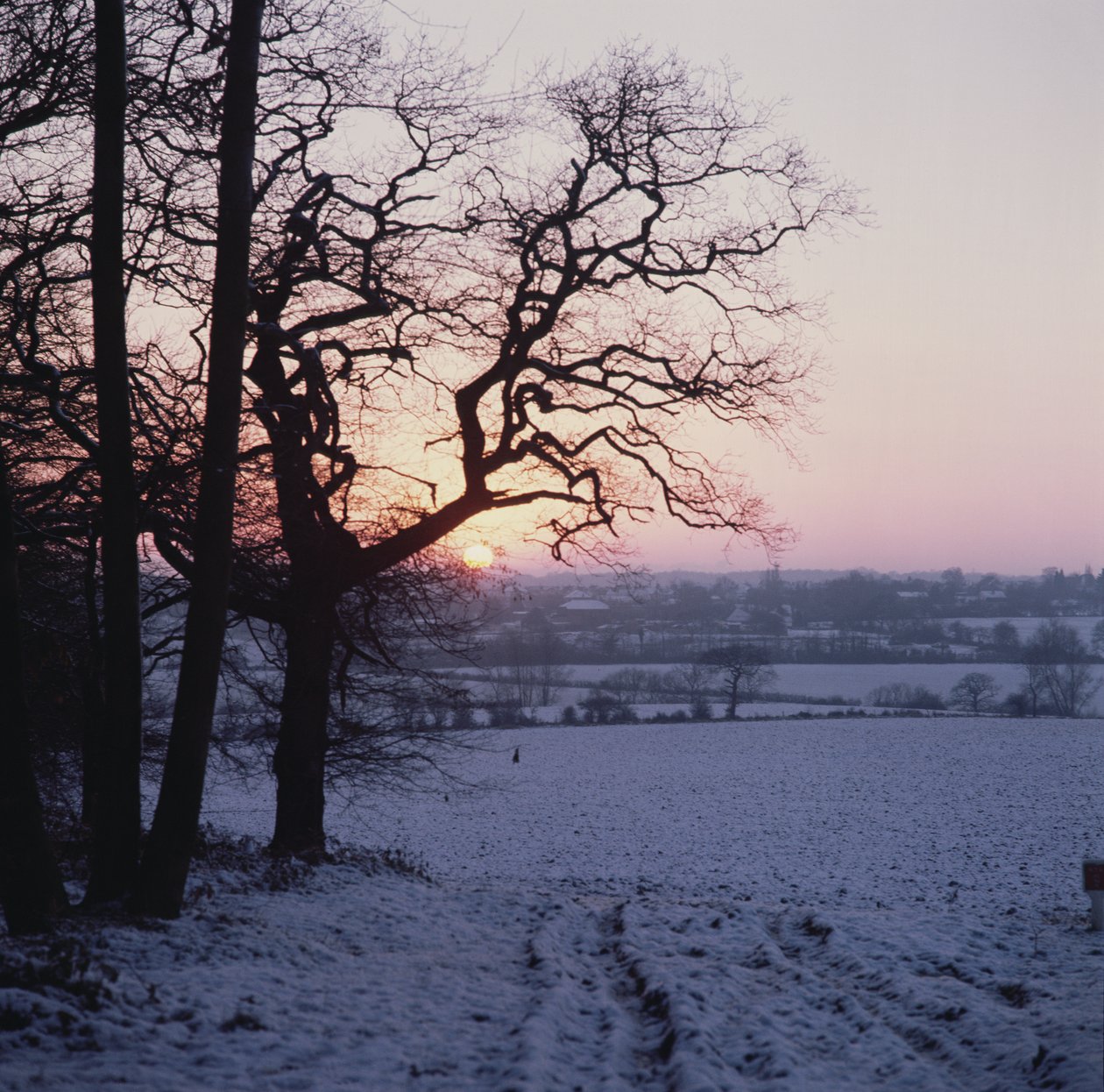 Cena de inverno na neve, Hockley, Essex de Unbekannt Unbekannt