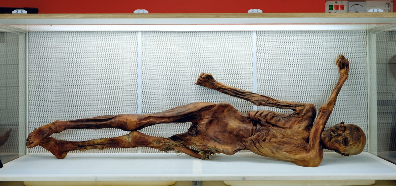 The Oetzi Iceman de Unbekannt Unbekannt