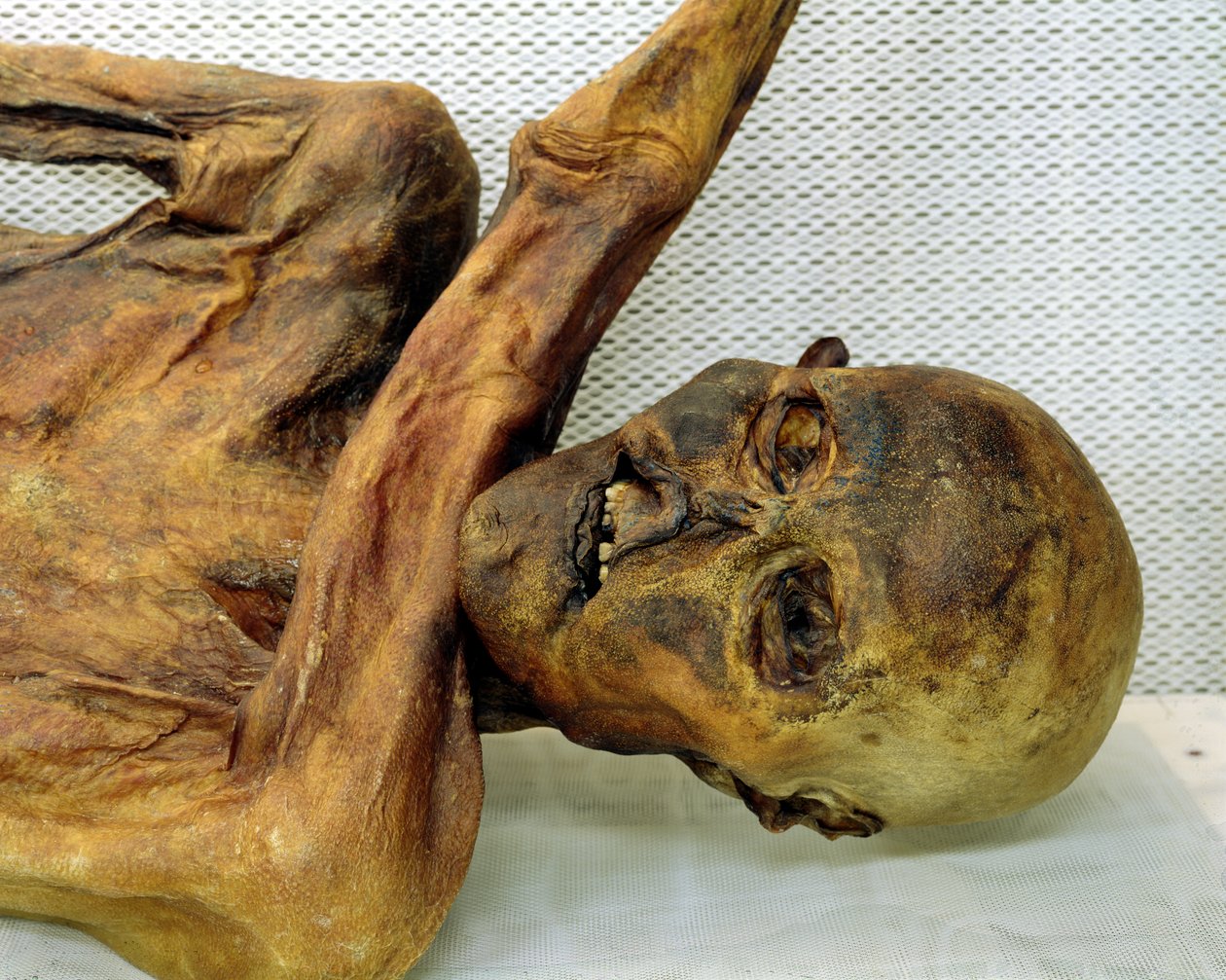 The Oetzi Iceman de Unbekannt Unbekannt