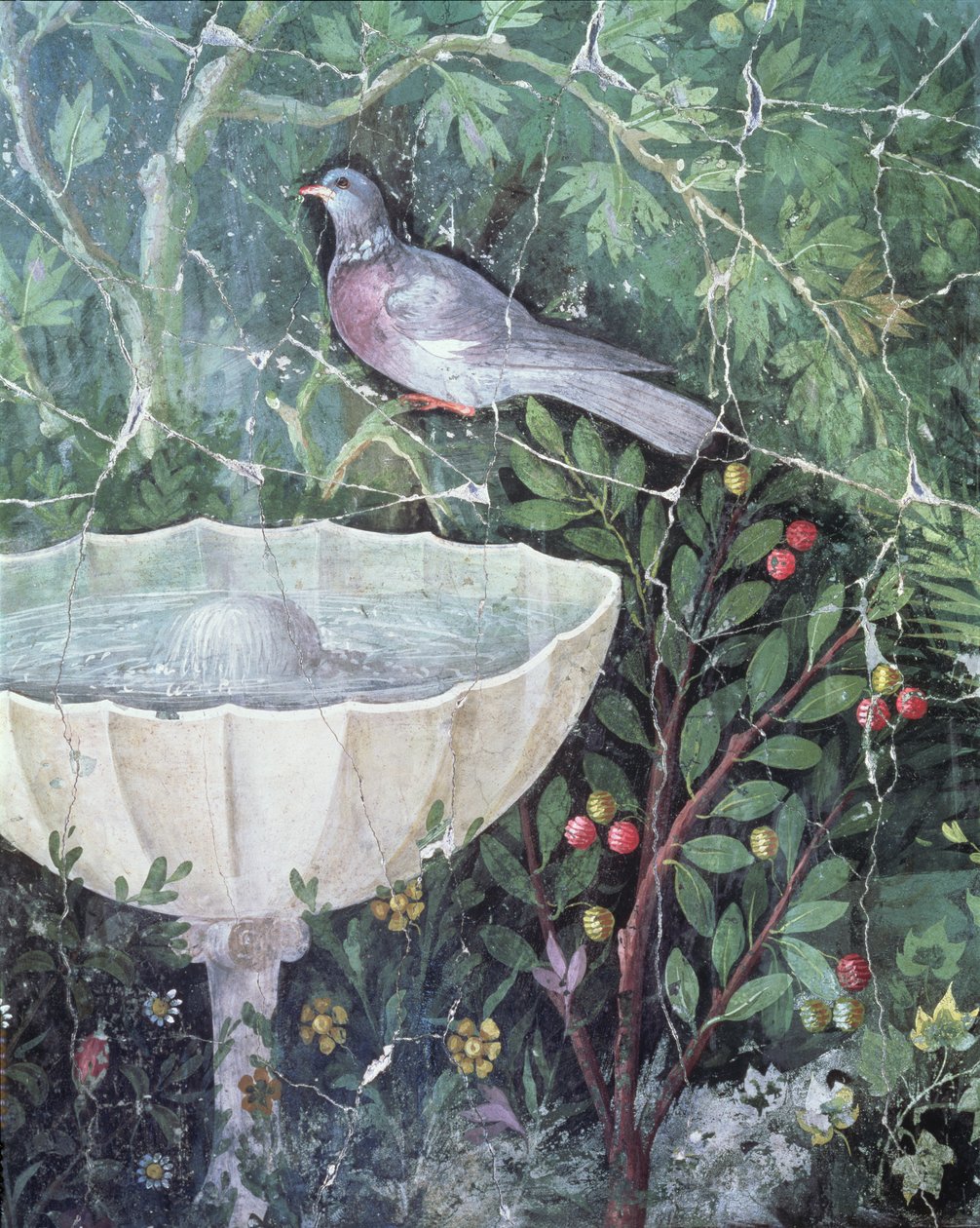 Pintura de parede de uma pomba em um jardim por uma fonte, casa da pulseira de ouro, Pompéia, século I dC de Unbekannt Unbekannt