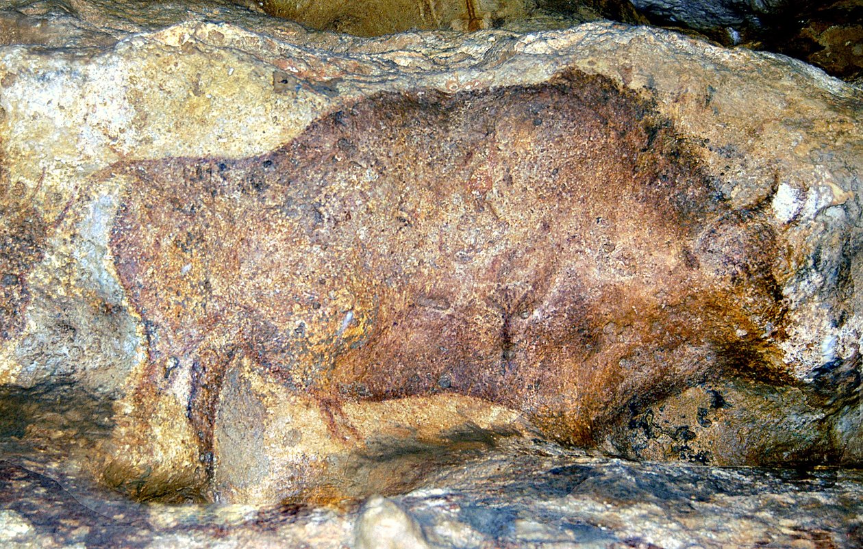 Bisonte em Font De Gaume, c.25, 000 aC de Unbekannt Unbekannt