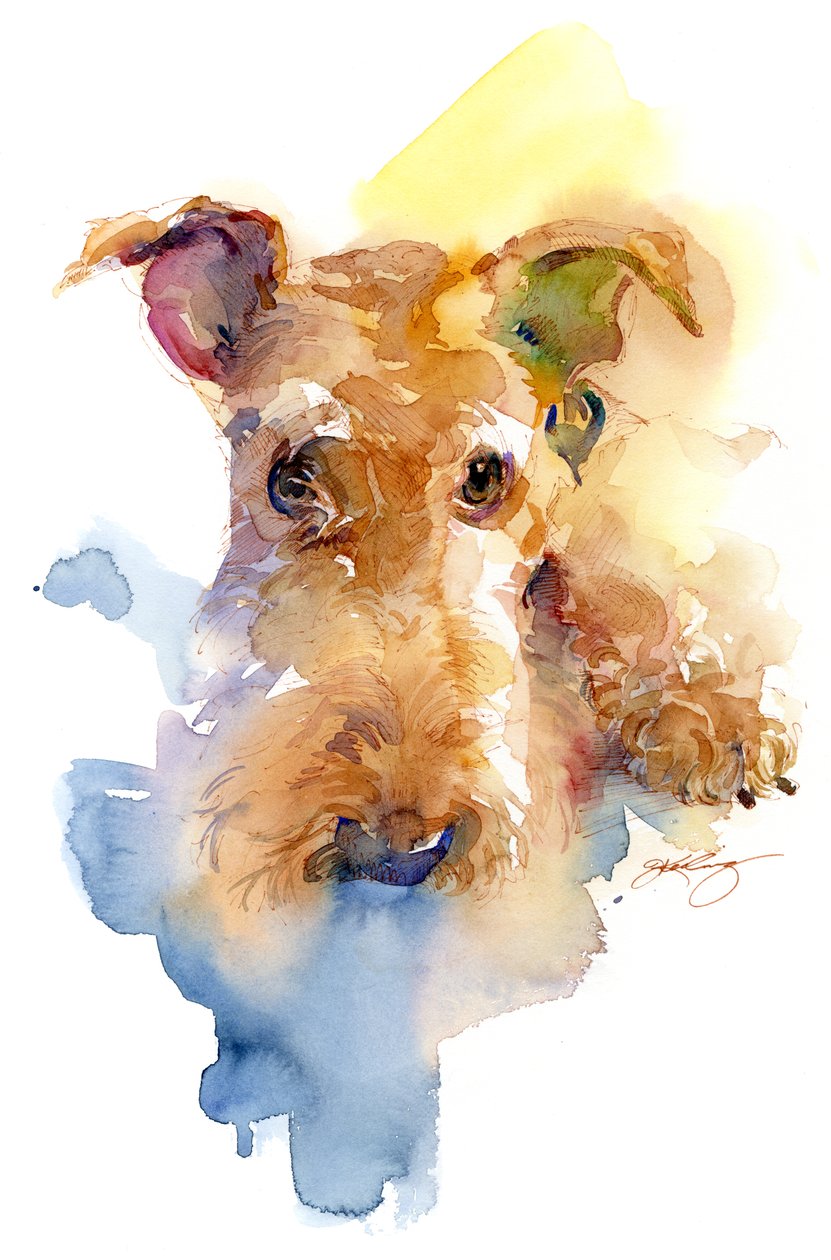 Dexter portrait, 2015, de Unbekannt Unbekannt