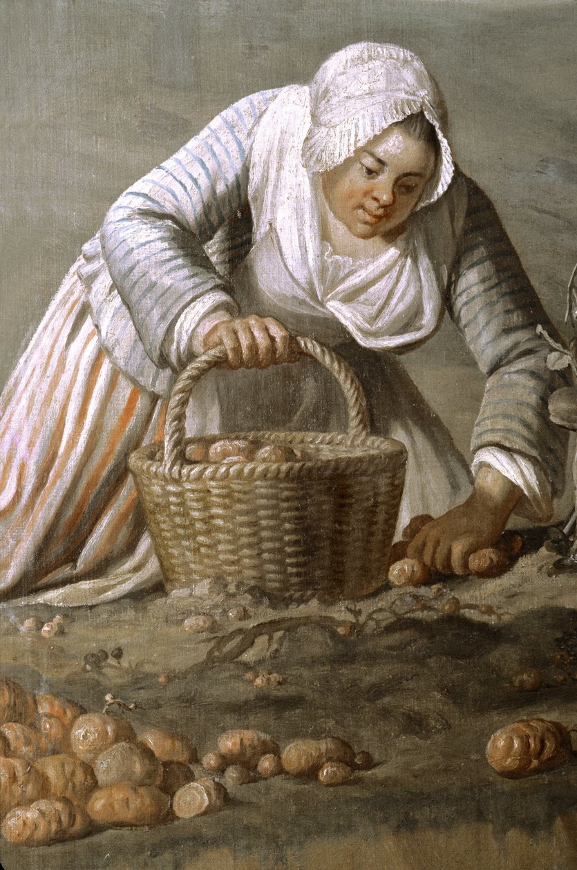 França - Somme - departamento 80 - Amiens - Hotel de Berny - Museu de Arte Local - Pintura detalhada por Dominique Doncre de Unbekannt Unbekannt