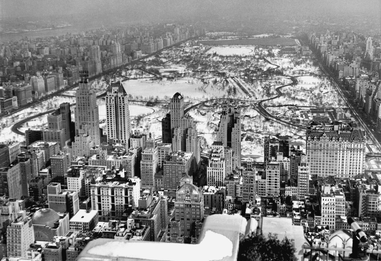 Midtown e Central Park View de Unbekannt Unbekannt