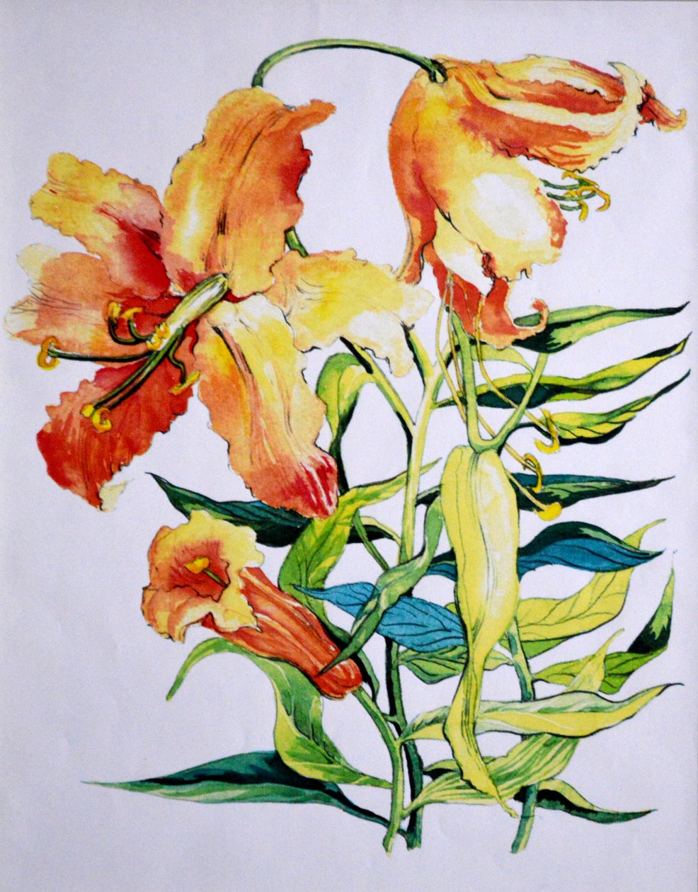 Lírios laranja 1,1985 de Unbekannt Unbekannt