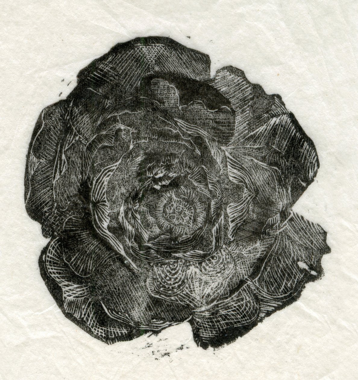 Pine Rose, 2014, de Unbekannt Unbekannt