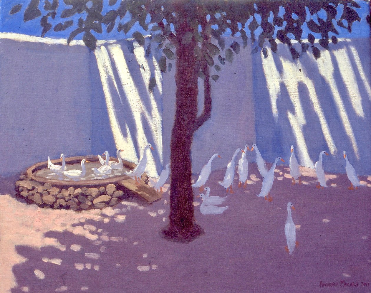 Patos Runner, África do Sul, 2011 de Unbekannt Unbekannt