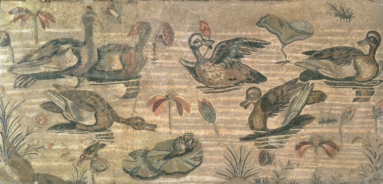 Cena, de, waterfowl, ligado, a, nile, de, a, casa, de, a, faun, pompeii, século ii, bc de Unbekannt Unbekannt