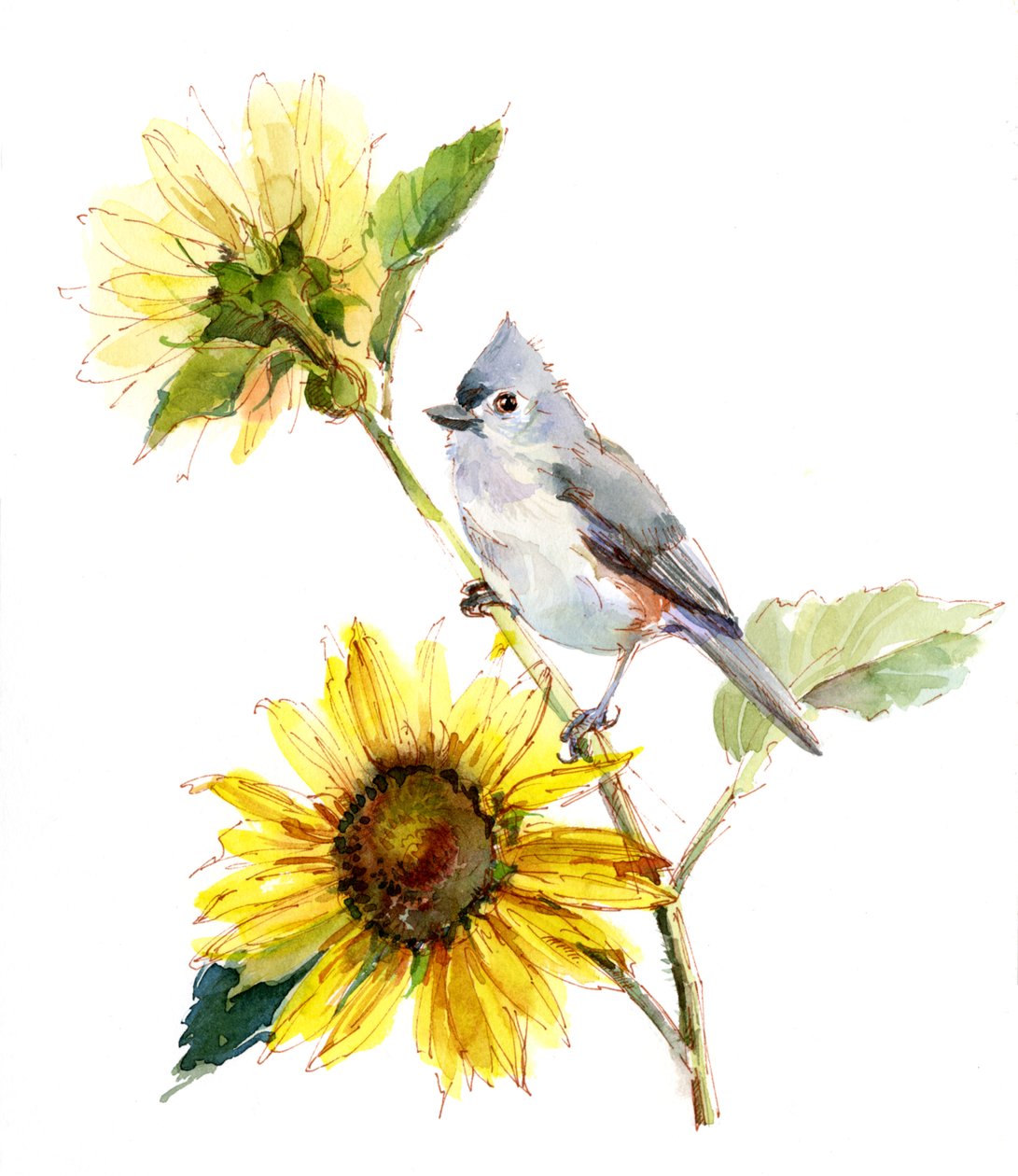 Titmouse com Girassol, 2016, de Unbekannt Unbekannt