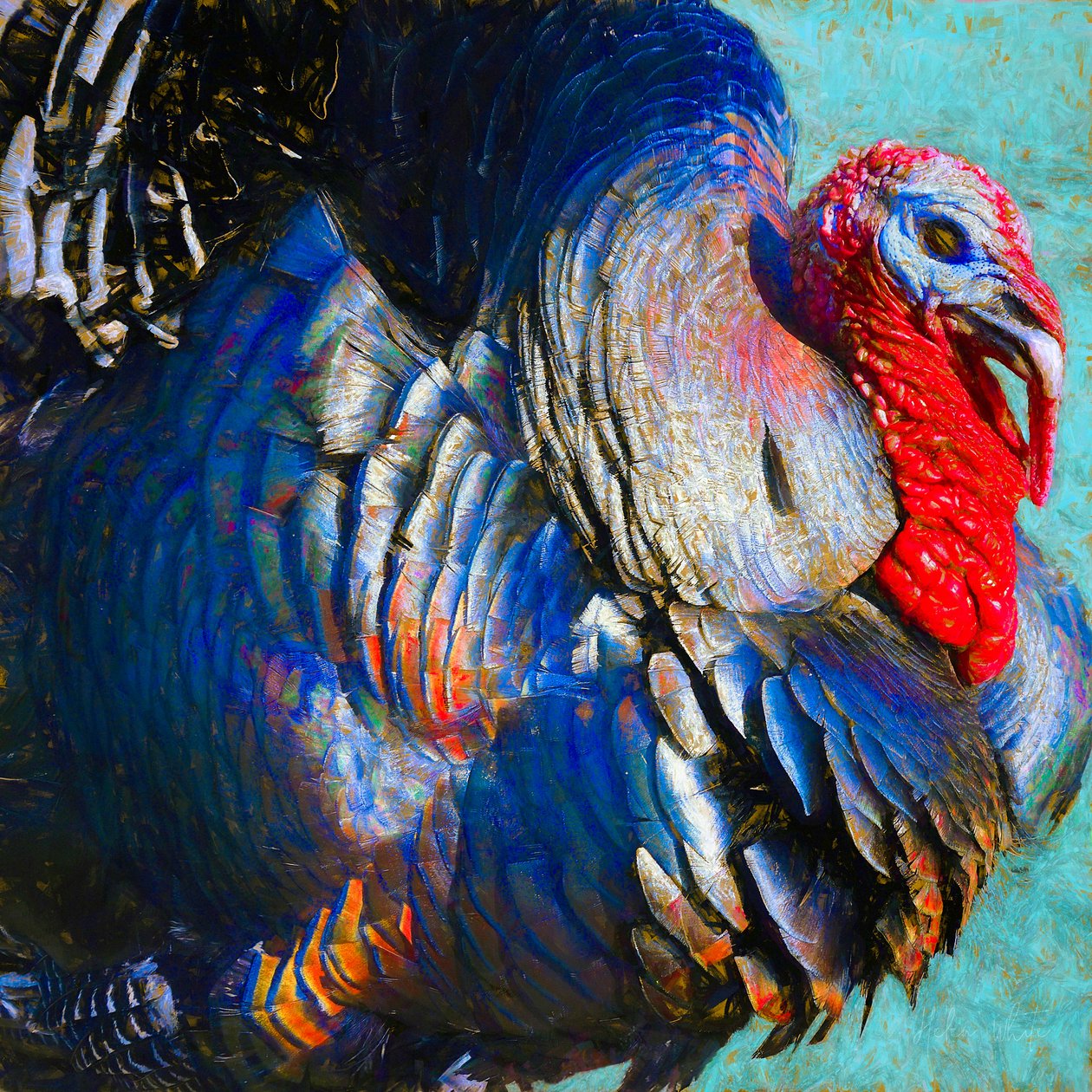 Turquia Lurky, 2018, de Unbekannt Unbekannt