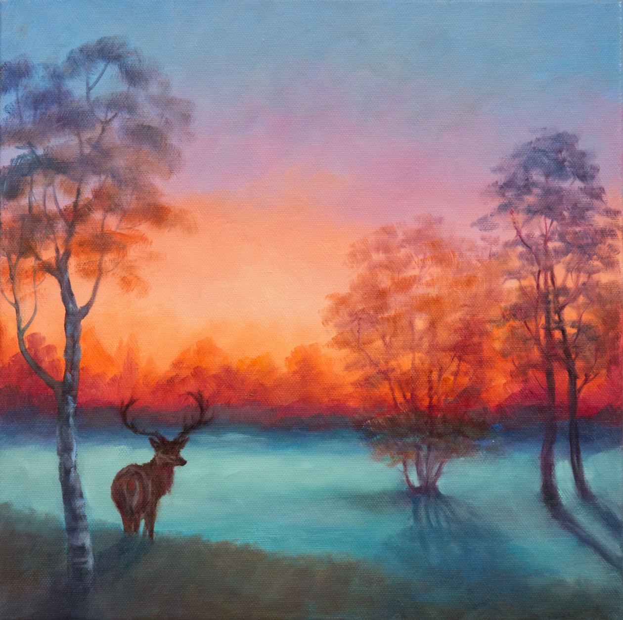 Fulgor de Inverno, 2017, de Unbekannt Unbekannt