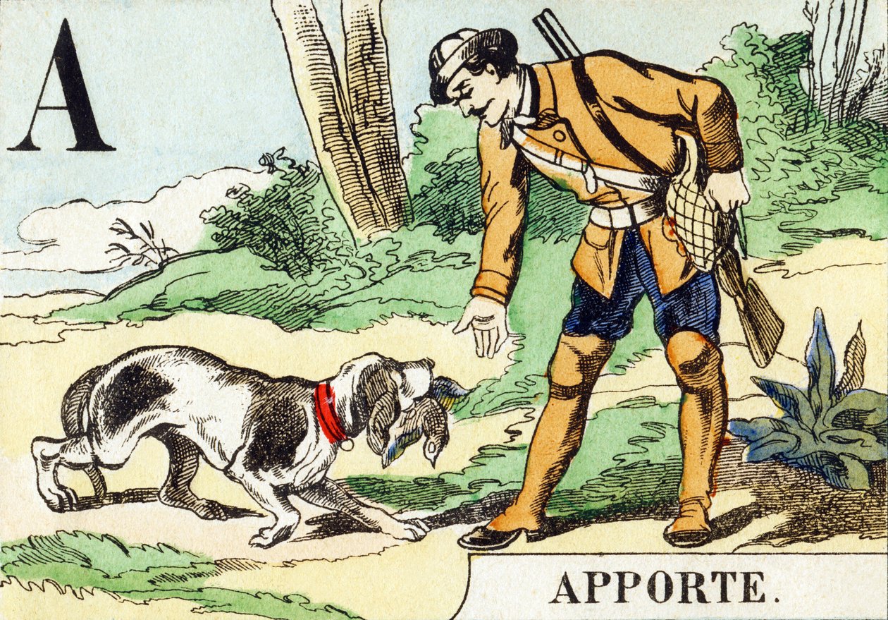 R: Apporte - O Alfabeto de Caça, c.1890 (gravura) de Unbekannt
