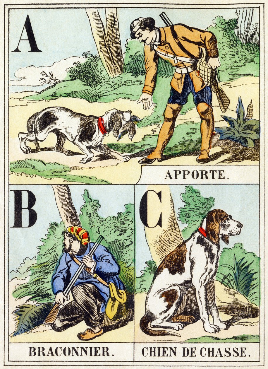 A B C: Trazer, caçador furtivo, cão de caça - O alfabeto de caça, c.1890 (gravura) de Unbekannt