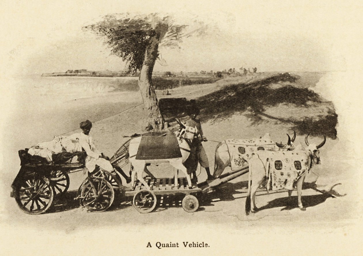 Um veículo pitoresco Estes carros de bois perderam-se na antiguidade; início dos anos 1900 (foto) de Unbekannter Künstler