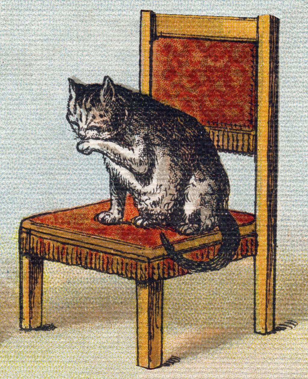 Um gato numa cadeira. Gravura em "Alfabeto de ma petite fille". Bernardin-Bechet e Fils, livreiros-editores, Paris, por volta de 1895. Álbum inquebrável em tela. Bibliotheque des Bebes. 12 páginas. Álbum contendo um método de leitura e um abeceda ilustrati de Unbekannt