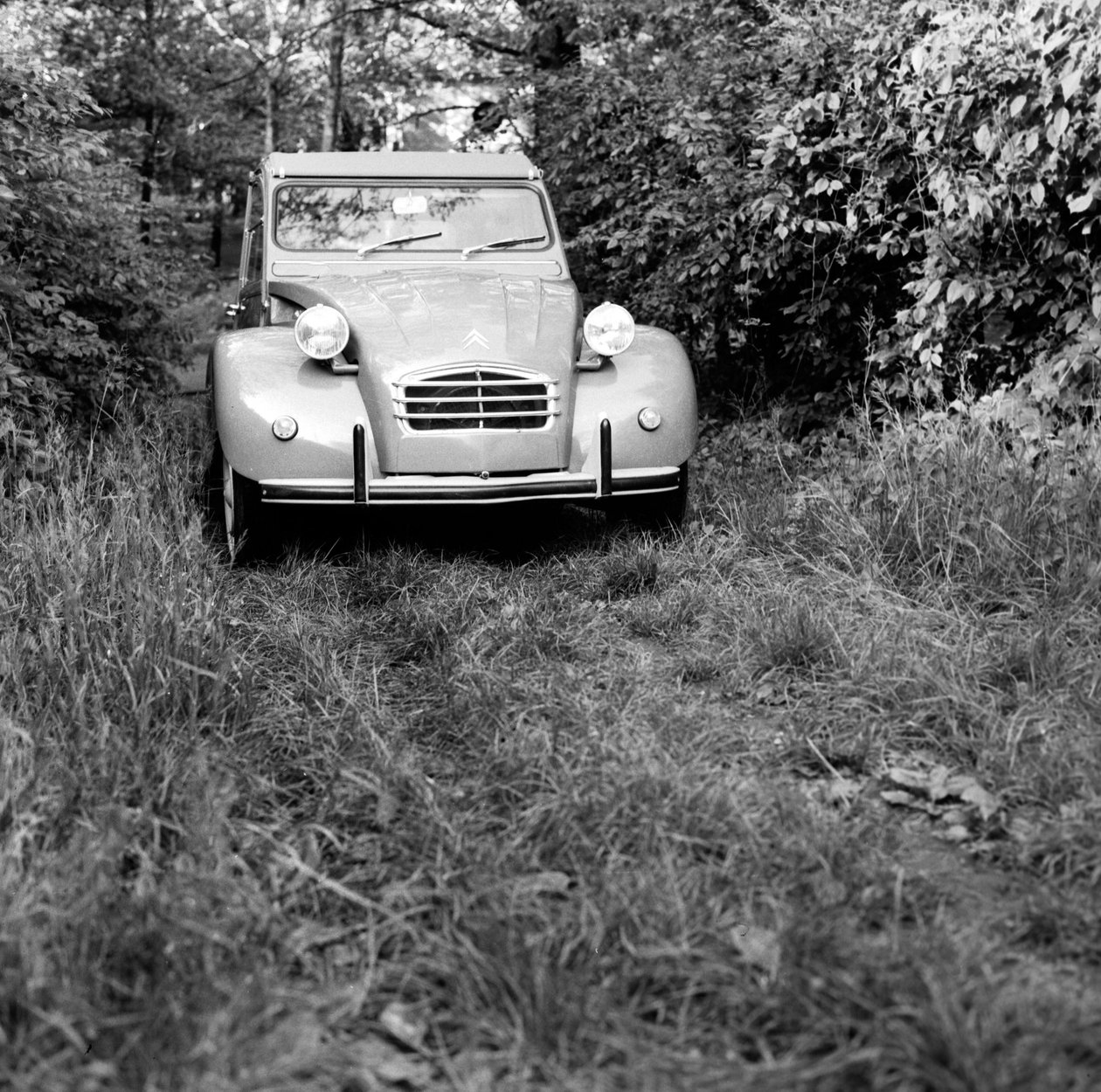 Uma família que viaja no seu Citroen 2CV, Monza de Bartolome Esteban and studio Murillo