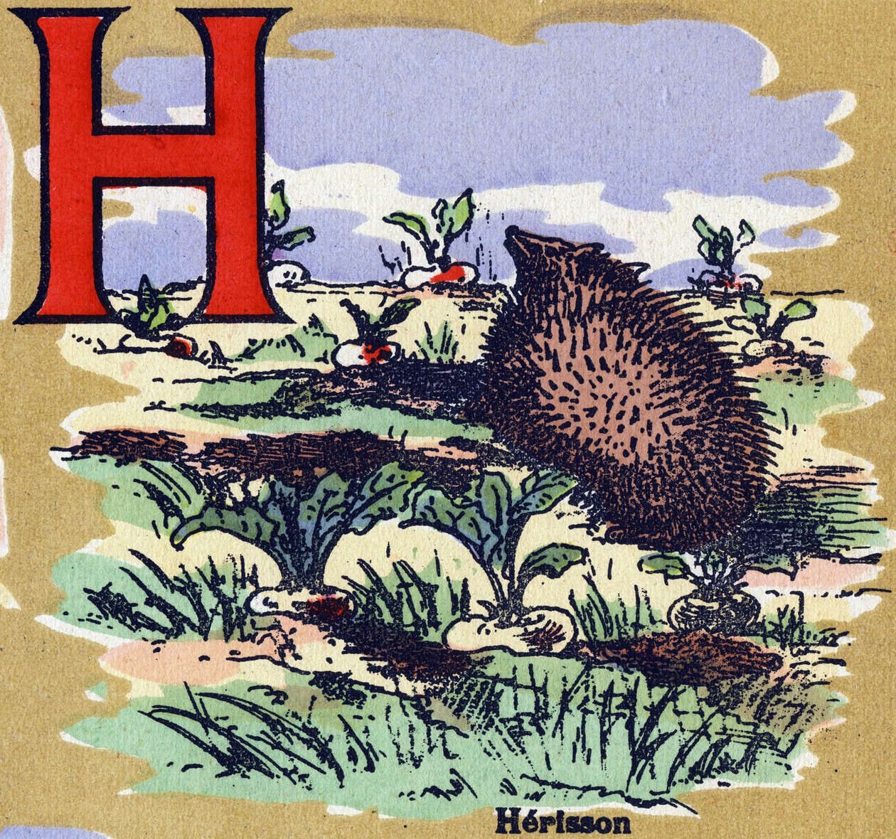Uma herisson. Alfabeto ilustrado. Imagens reunidas em Jarville-Nancy, início do século XX. Dimensões: 40 x 29 cm. Litografia sobre fundo de bistre. de Unbekannt