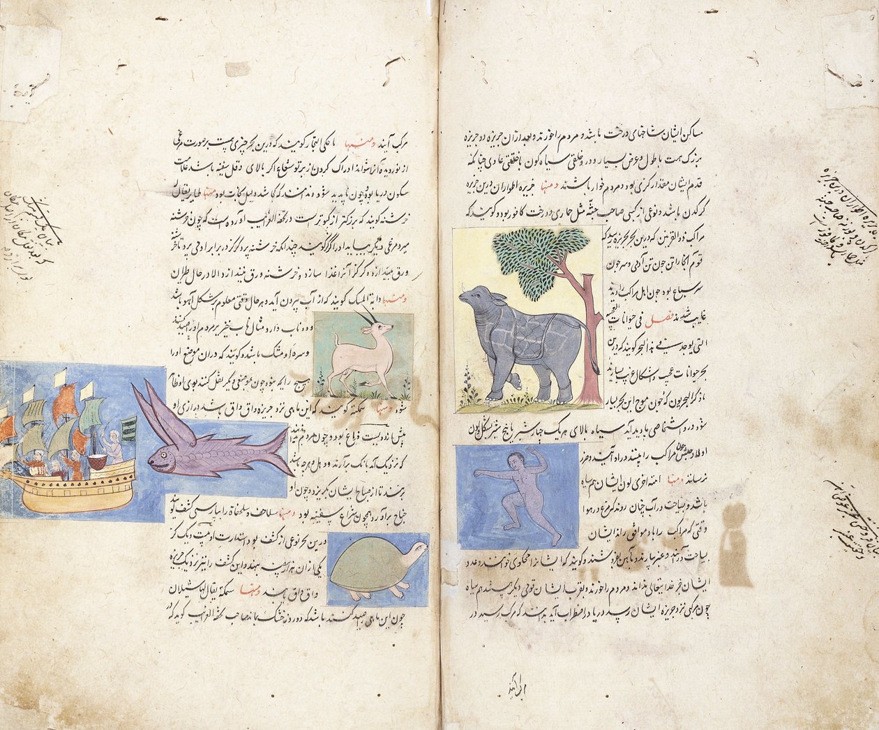 Uma página do manuscrito persa "Aja" ib al-Makhluqat wa Ghara "ib al-Maujudat de Unbekannt