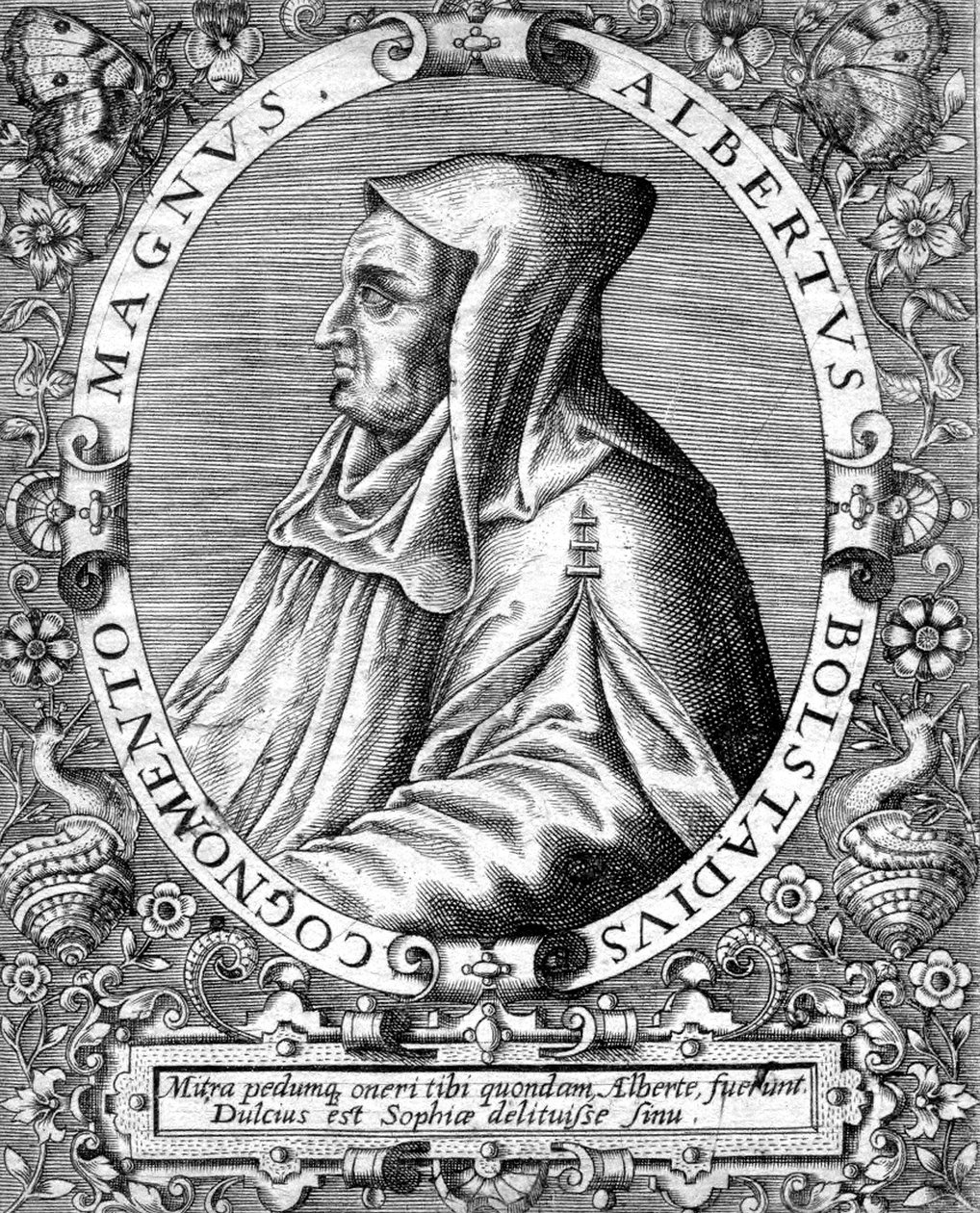 Albert Magnus (1193/1206-1280), monge dominicano alemão, cientista, filósofo e teólogo, gravura de Unbekannter Künstler