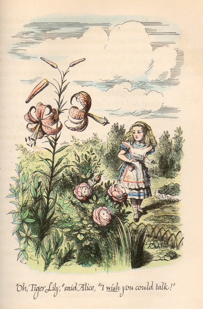 Alice no País das Maravilhas & Através do Espelho, de Lewis Carroll, Ilustrado por John Tenniel de Unbekannt