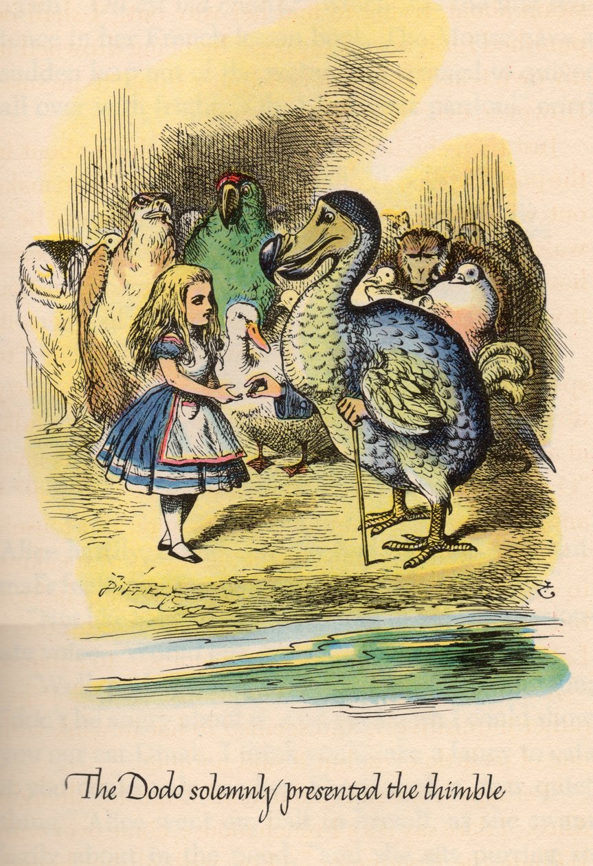 Alice no País das Maravilhas por Lewis Carroll, Ilustrado por John Tenniel de Unbekannt
