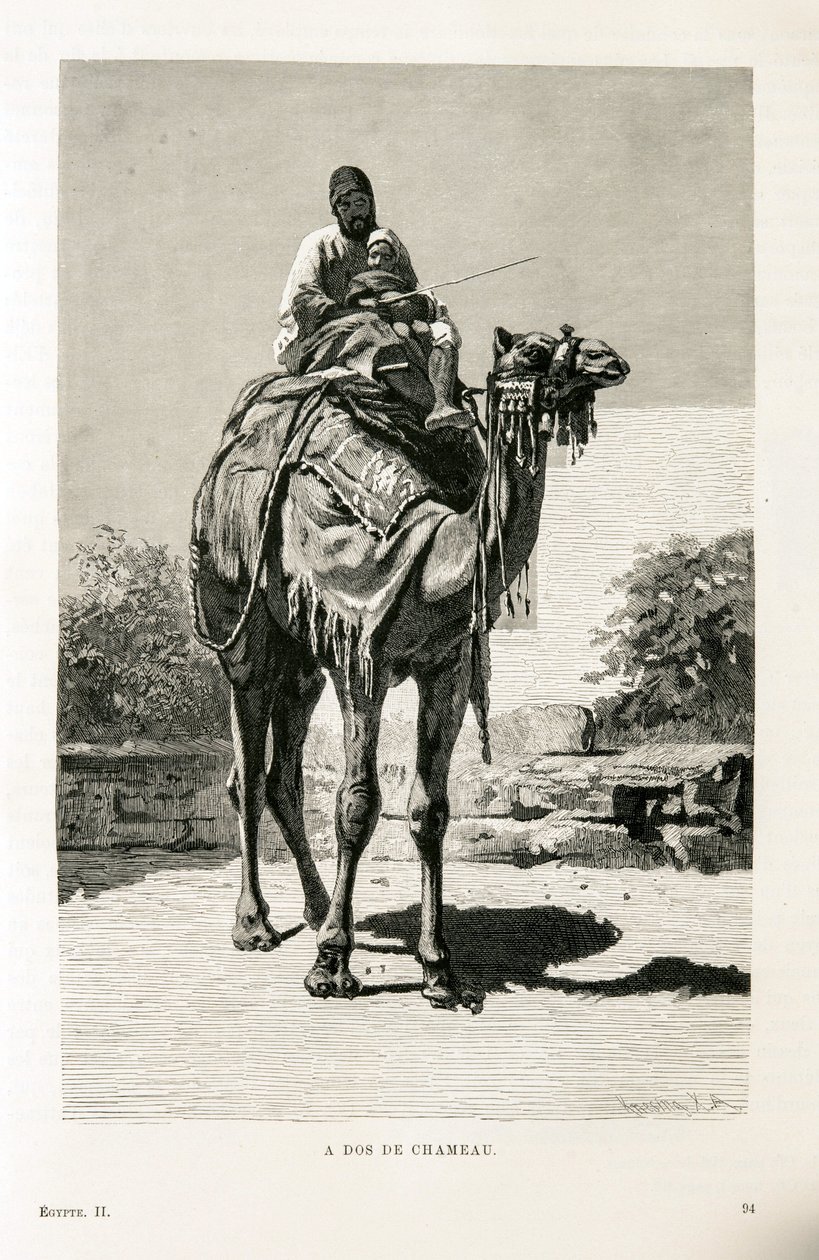 Um egípcio e seu filho em um camelo - Ilustração do Atlas do Egito de Unknown
